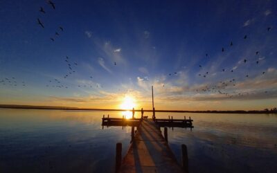 Sunsets