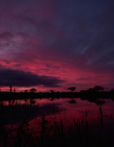 Sunsets