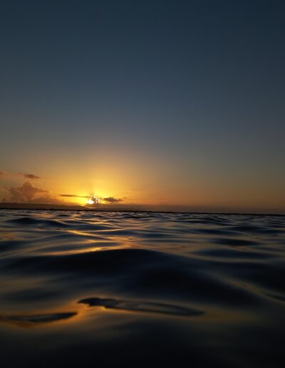 Sunsets